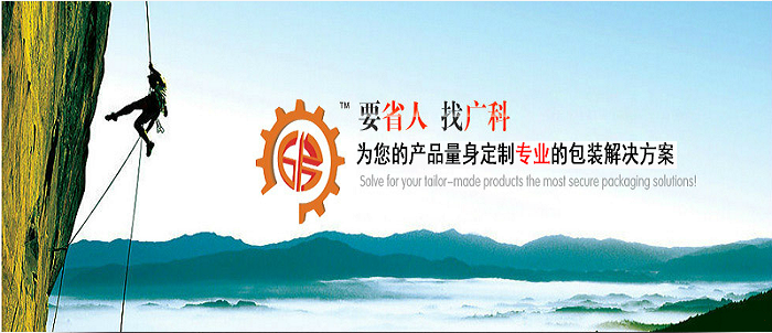 高效口罩自动包装机