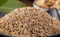 孜然包装机，给您最好的享受